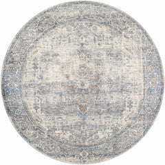 Erela Area Rug - Clearance - Ornate Home