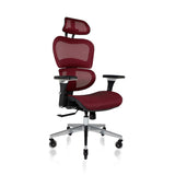 NOUHAUS Ergo3D Ergonomic Office Chair