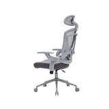 NOUHAUS ErgoFit Ergonomic Mesh Office Chair