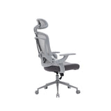 NOUHAUS ErgoFit Ergonomic Mesh Office Chair