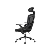 NOUHAUS ErgoFit Ergonomic Mesh Office Chair