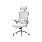 NOUHAUS ErgoFit Ergonomic Mesh Office Chair