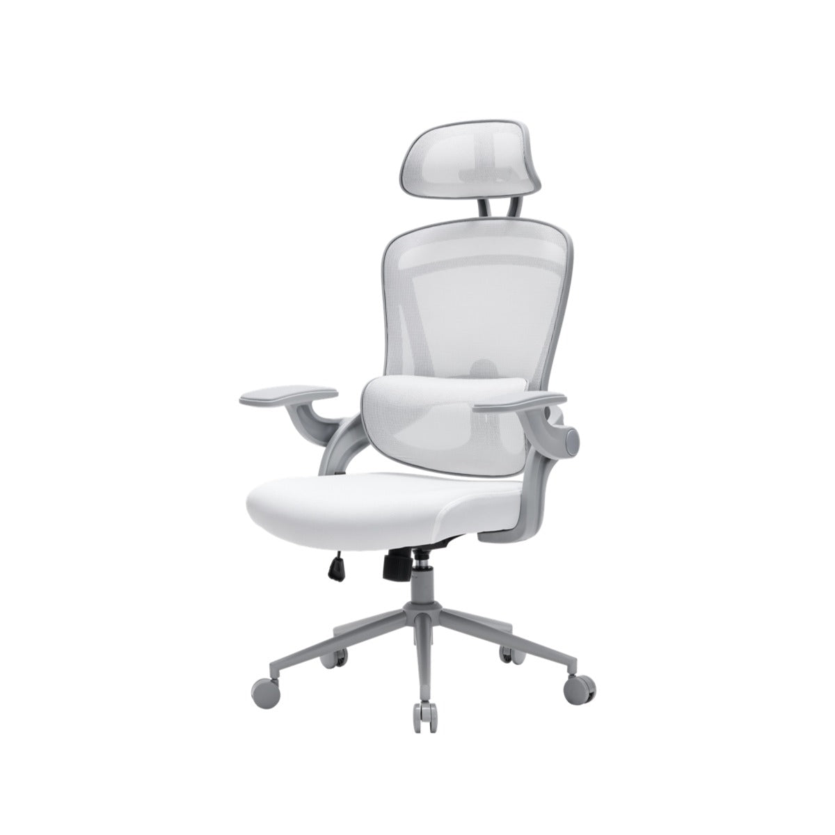 NOUHAUS ErgoFit Ergonomic Mesh Office Chair