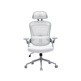 NOUHAUS ErgoFit Ergonomic Mesh Office Chair