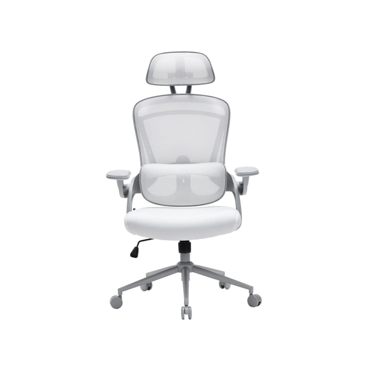 NOUHAUS ErgoFit Ergonomic Mesh Office Chair