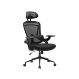 NOUHAUS ErgoFit Ergonomic Mesh Office Chair