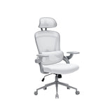 NOUHAUS ErgoFit Ergonomic Mesh Office Chair