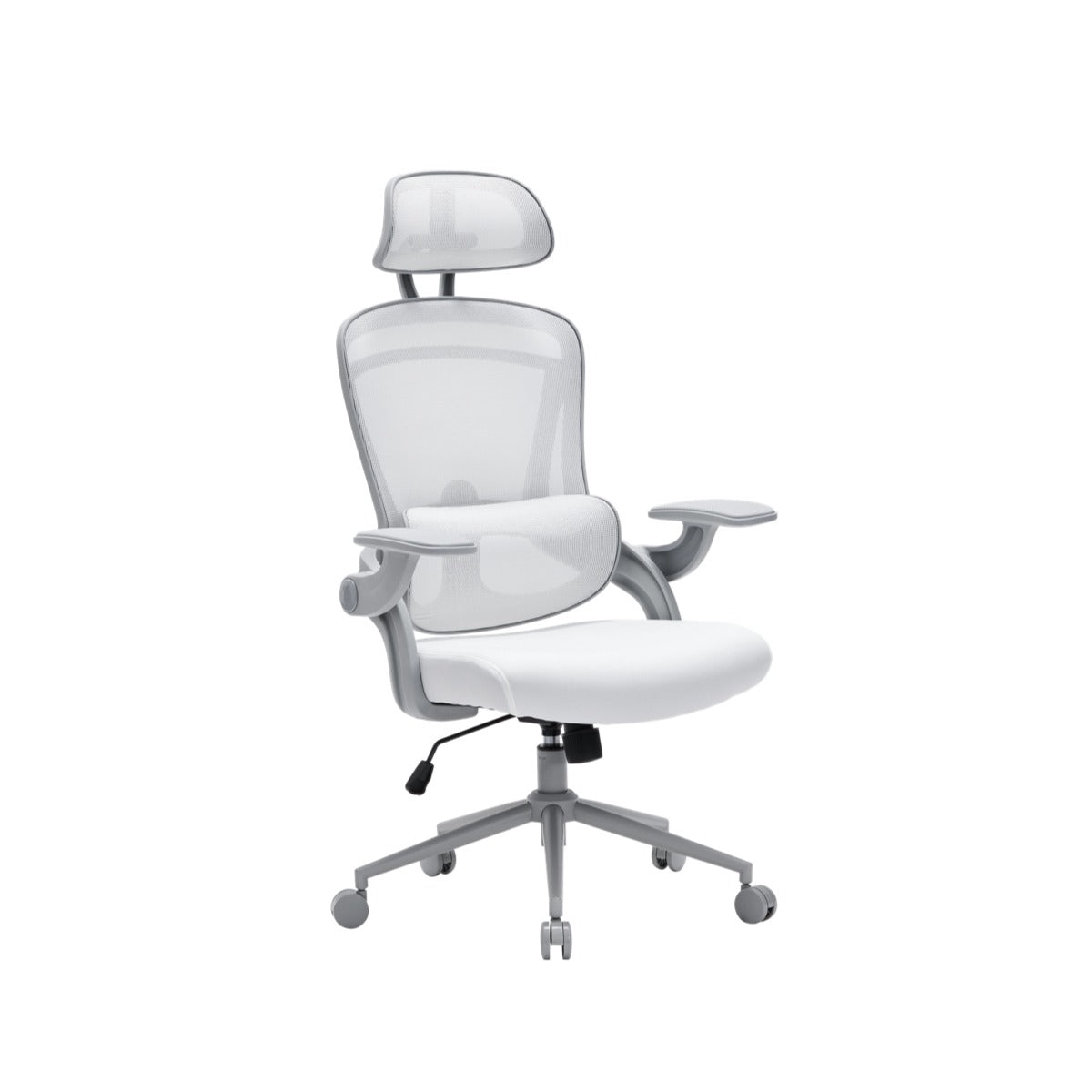 NOUHAUS ErgoFit Ergonomic Mesh Office Chair