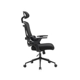 NOUHAUS ErgoFit Ergonomic Mesh Office Chair