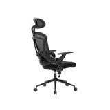 NOUHAUS ErgoFit Ergonomic Mesh Office Chair