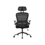 NOUHAUS ErgoFit Ergonomic Mesh Office Chair
