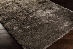 Erial Area Carpet - Clearance - Ornate Home