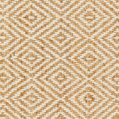 Eriko Area Rug - Clearance - Ornate Home