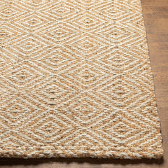 Eriko Area Rug - Clearance - Ornate Home