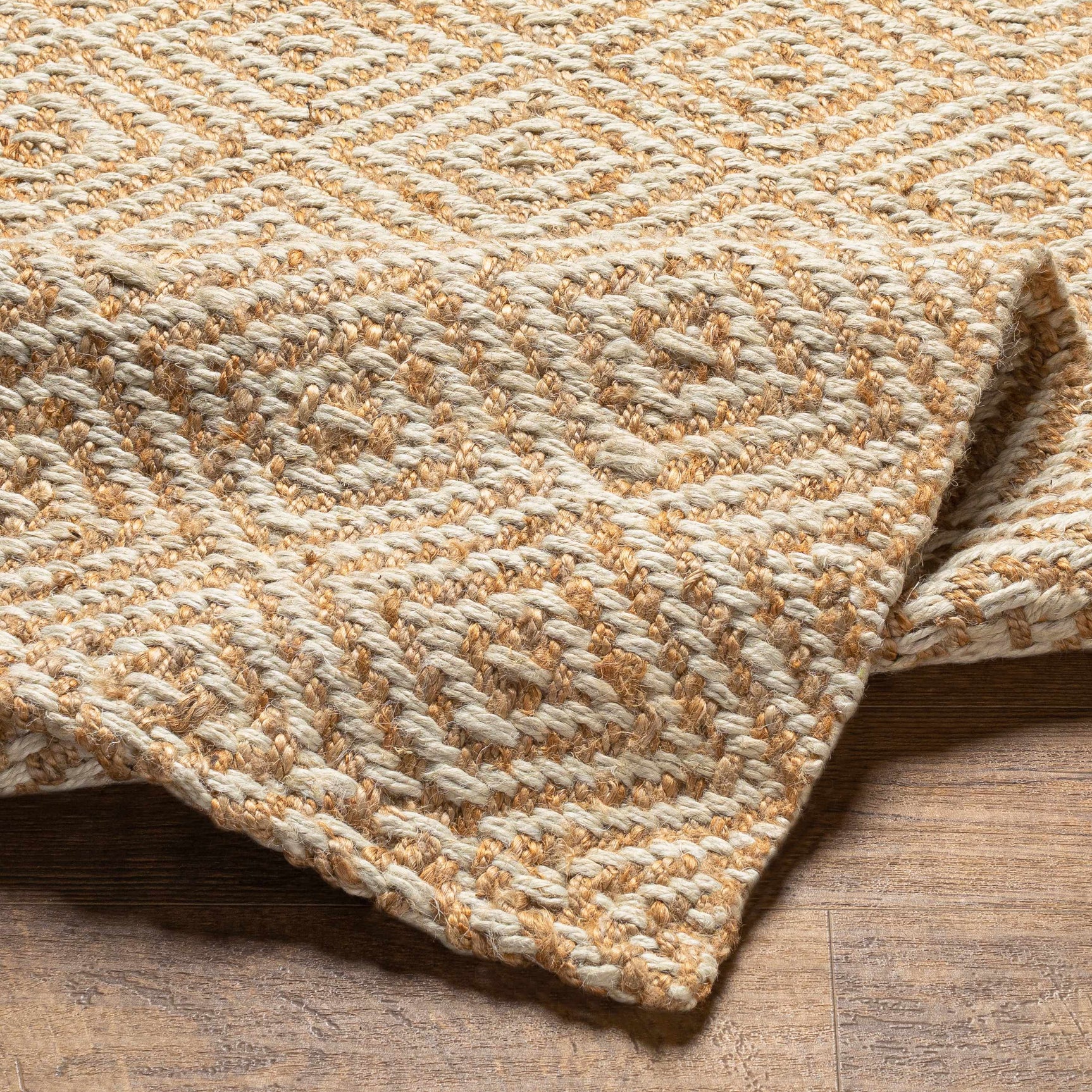 Eriko Area Rug - Clearance - Ornate Home