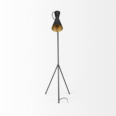 Eris Black/Brass Metal Cone Shade Floor Lamp - Ornate Home