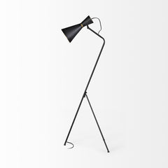 Eris Black/Brass Metal Cone Shade Floor Lamp - Ornate Home