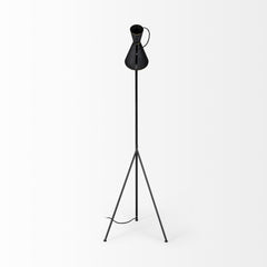 Eris Black/Brass Metal Cone Shade Floor Lamp - Ornate Home