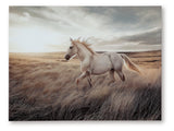 Errolville Multi Wall Art (Online Special Price) - Ornate Home