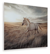 Errolville Multi Wall Art (Online Special Price) - Ornate Home