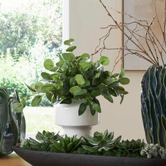 Essence Eucalyptus Green/White Accent & Vase - Ornate Home