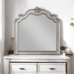 Esteban Antique Champagne Mirror - Ornate Home