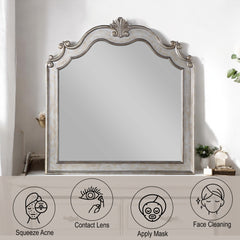 Esteban Antique Champagne Mirror - Ornate Home