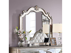 Esteban Antique Champagne Mirror - Ornate Home