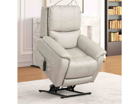 Ethelreda Light Gray Lift Chair - Ornate Home