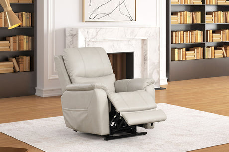 Ethelreda Light Gray Lift Chair - Ornate Home