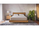 Ethos Thrive All Foam 10" Medium Beige&White Twin Mattress - Ornate Home