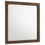 Etienne Walnut Rectangular Dresser Mirror - Ornate Home