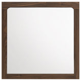 Etienne Walnut Rectangular Dresser Mirror - Ornate Home