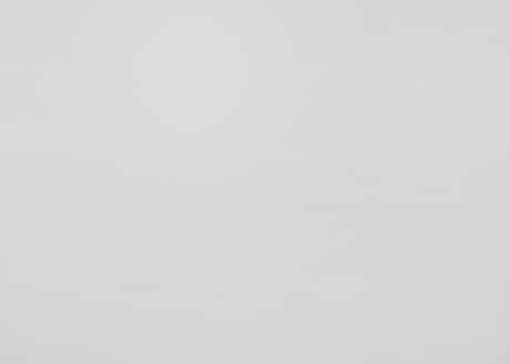 Evan White Panel Youth Bedroom Set - Ornate Home