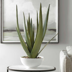 Evarado Green Aloe Planter - Ornate Home