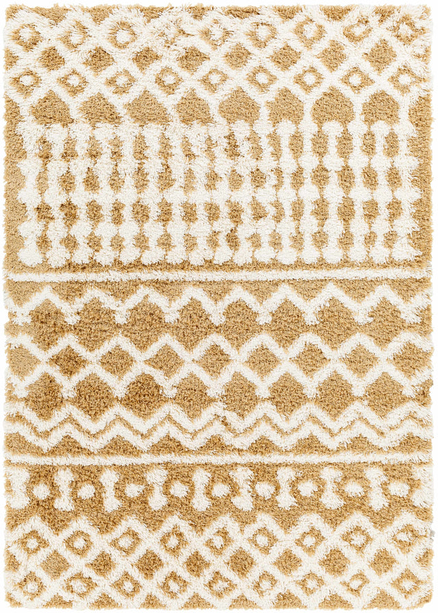 Evely Shag Area Rug - Ornate Home