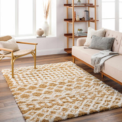 Evely Shag Area Rug - Ornate Home