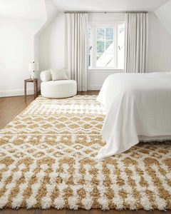 Evely Shag Area Rug - Ornate Home