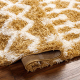 Evely Shag Area Rug - Ornate Home