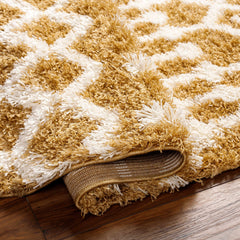 Evely Shag Area Rug - Ornate Home