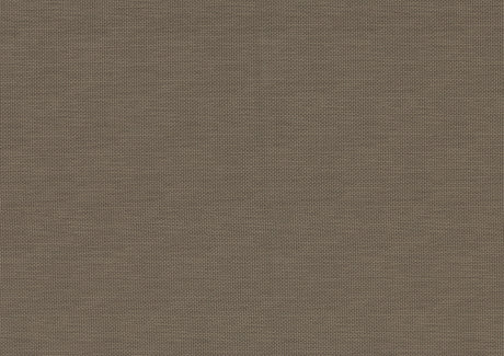 Ever Champagne Queen Bed - Ornate Home