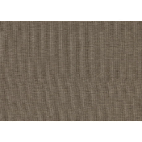 Ever Champagne Queen Bed - Ornate Home