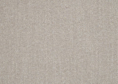 Everly Beige Chair - Ornate Home
