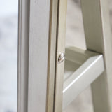 Evesen Champagne Floor Standing Mirror/Storage (Online Special Price) - Ornate Home