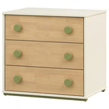 Evren Off White / Natural / Olive Chest - Ornate Home