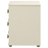Evren Off White / Natural / Olive Chest - Ornate Home