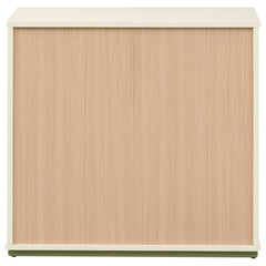 Evren Off White / Natural / Olive Chest - Ornate Home