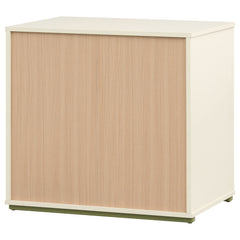 Evren Off White / Natural / Olive Chest - Ornate Home