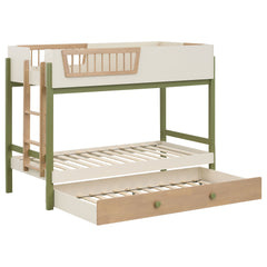 Evren Off White / Natural / Olive Twin-over-twin Bunk Bed With Trundle And Ladder Tri-tone - Ornate Home