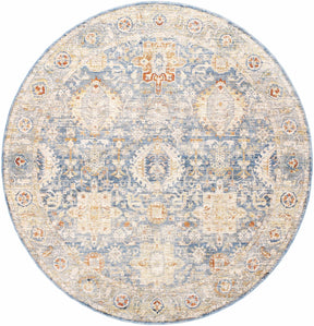 Eytan Area Rug - Clearance - Ornate Home